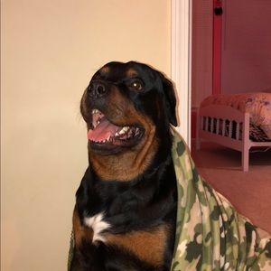 Meet your Posher, Janae